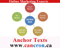 Anchor Texts Techniques Cancron inc